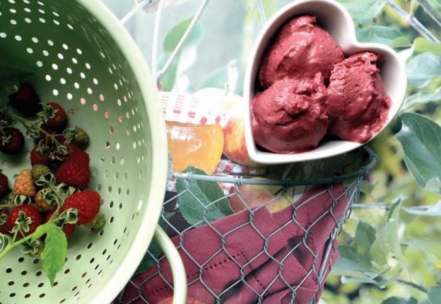 Recept za sorbet od malina